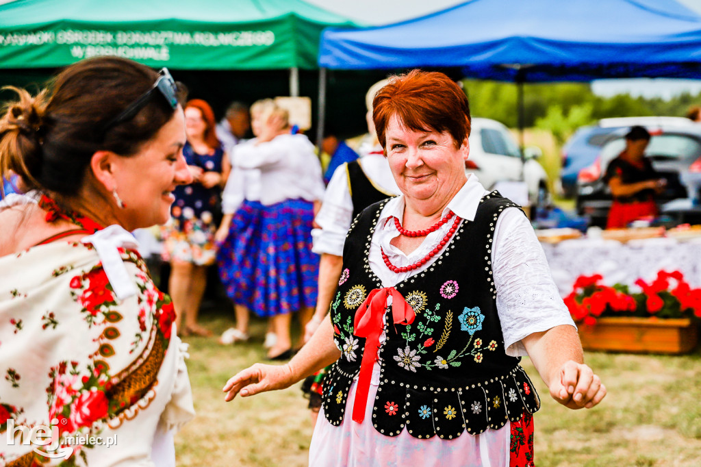 Piknik z Produktem Polskim – Bitwa Regionów w Przecławiu