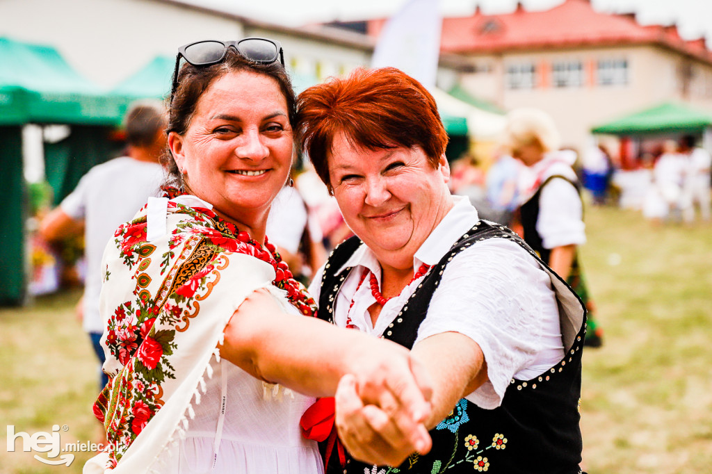 Piknik z Produktem Polskim – Bitwa Regionów w Przecławiu