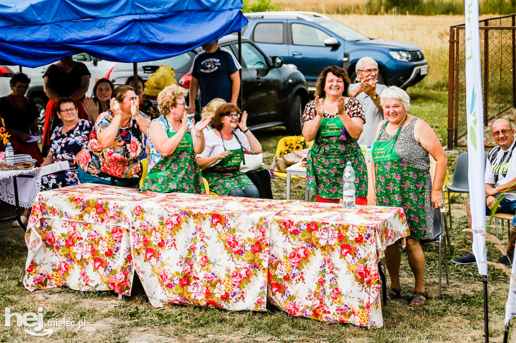 Piknik z Produktem Polskim – Bitwa Regionów w Przecławiu