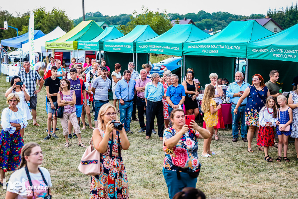 Piknik z Produktem Polskim – Bitwa Regionów w Przecławiu