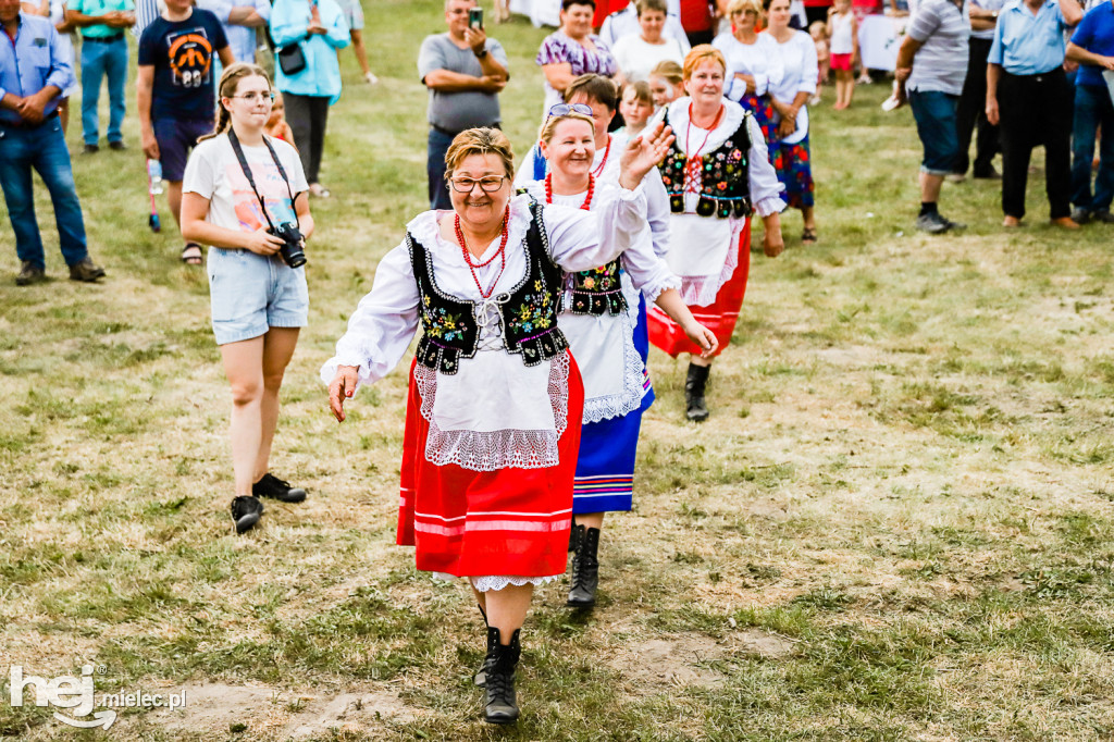 Piknik z Produktem Polskim – Bitwa Regionów w Przecławiu