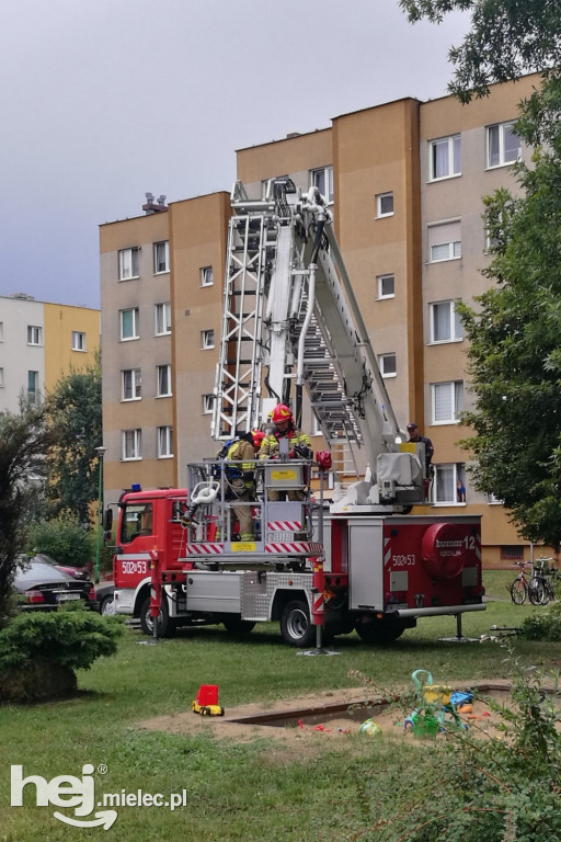 Złamane drzewo na os. Szafera