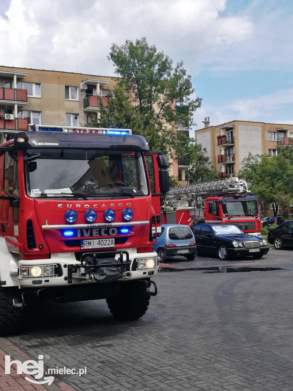 Złamane drzewo na os. Szafera