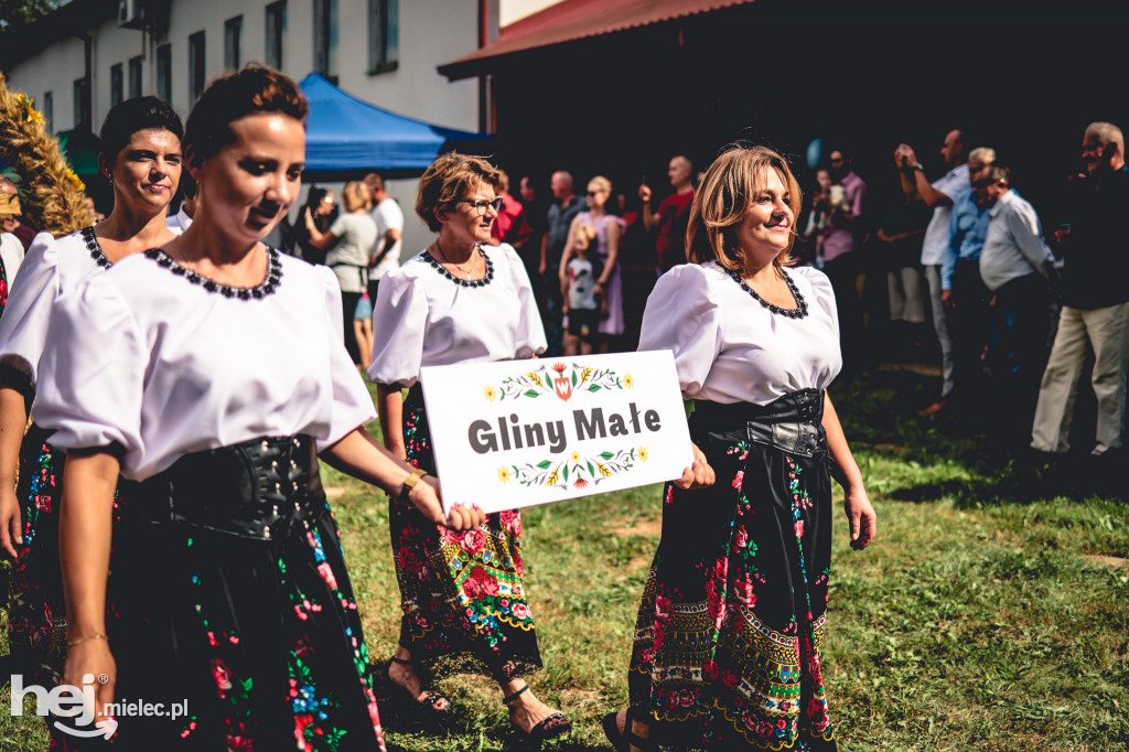 Dożynki w Surowej