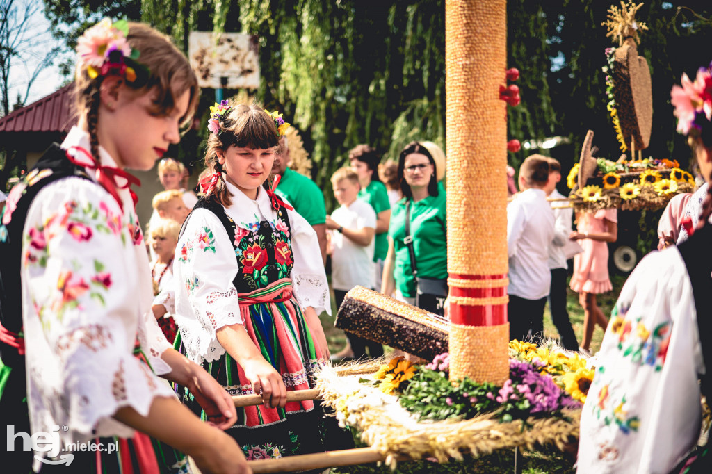 Dożynki w Surowej