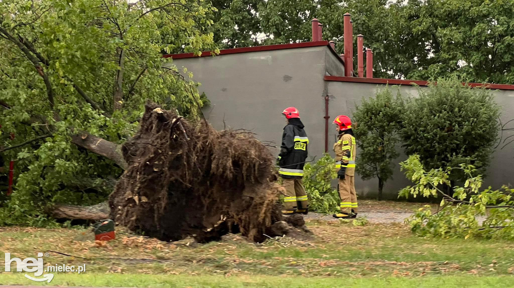 Powalone drzewa i podtopienia na terenie Mielca