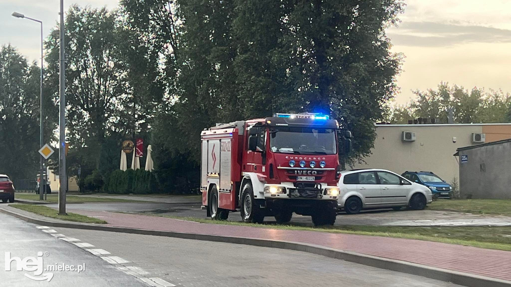 Powalone drzewa i podtopienia na terenie Mielca