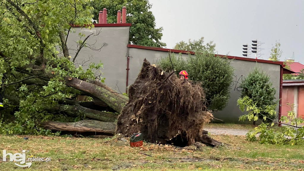 Powalone drzewa i podtopienia na terenie Mielca