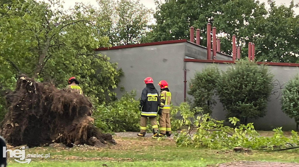 Powalone drzewa i podtopienia na terenie Mielca