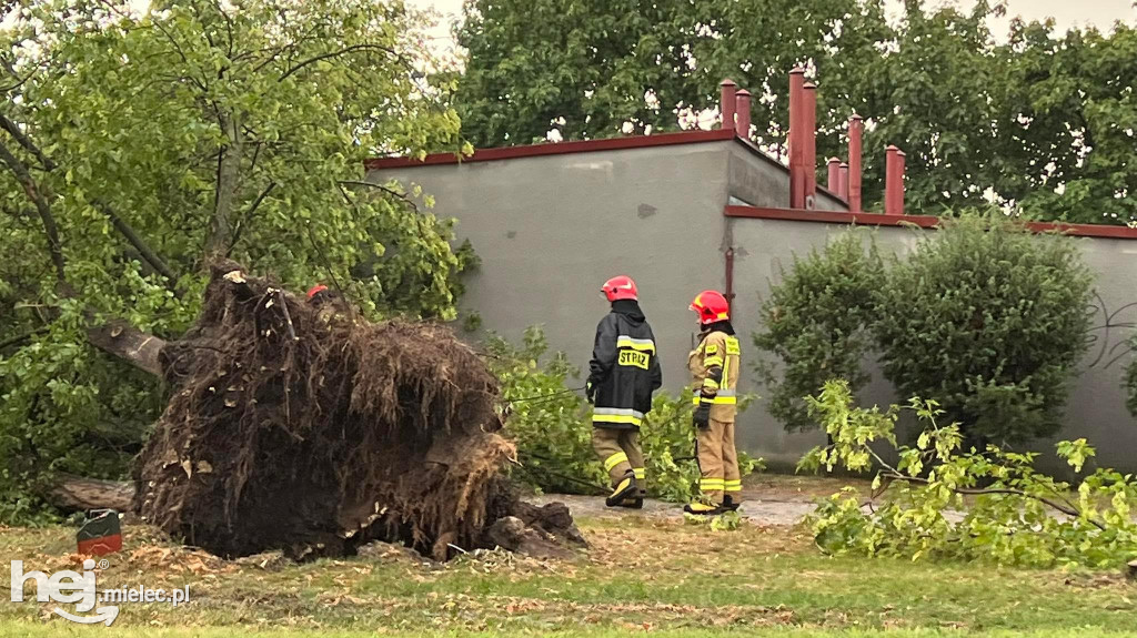 Powalone drzewa i podtopienia na terenie Mielca