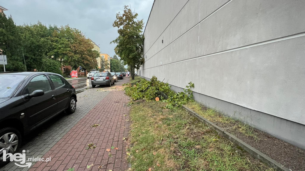 Powalone drzewa i podtopienia na terenie Mielca