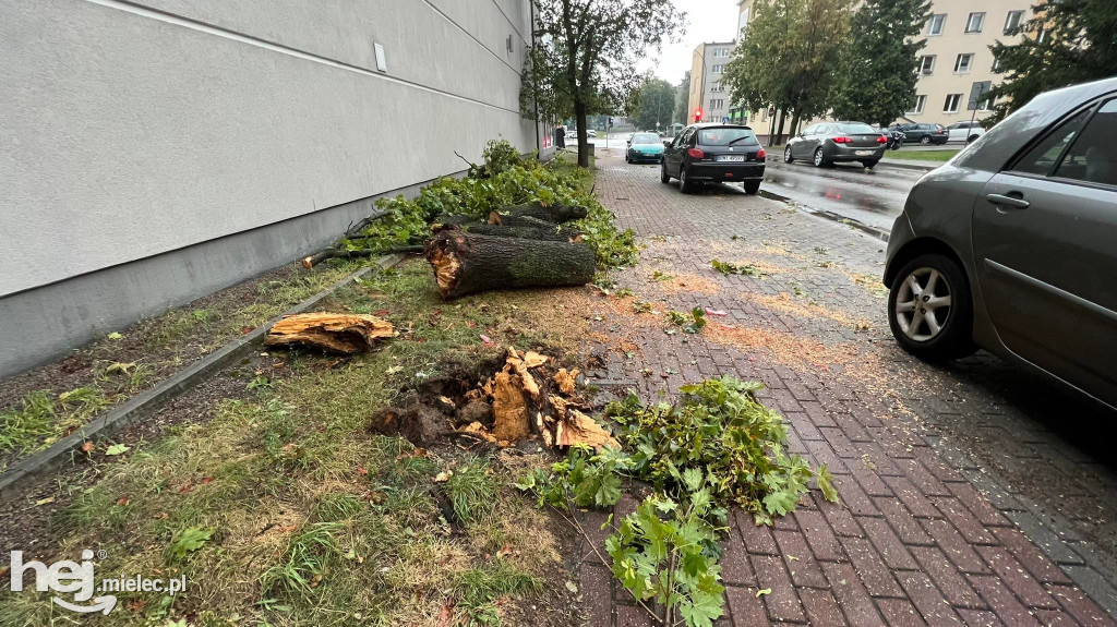 Powalone drzewa i podtopienia na terenie Mielca