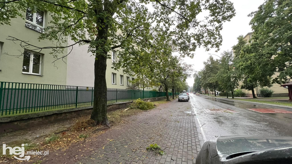 Powalone drzewa i podtopienia na terenie Mielca