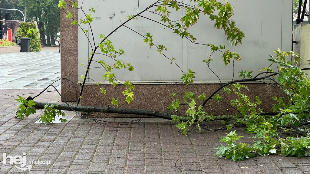Powalone drzewa i podtopienia na terenie Mielca
