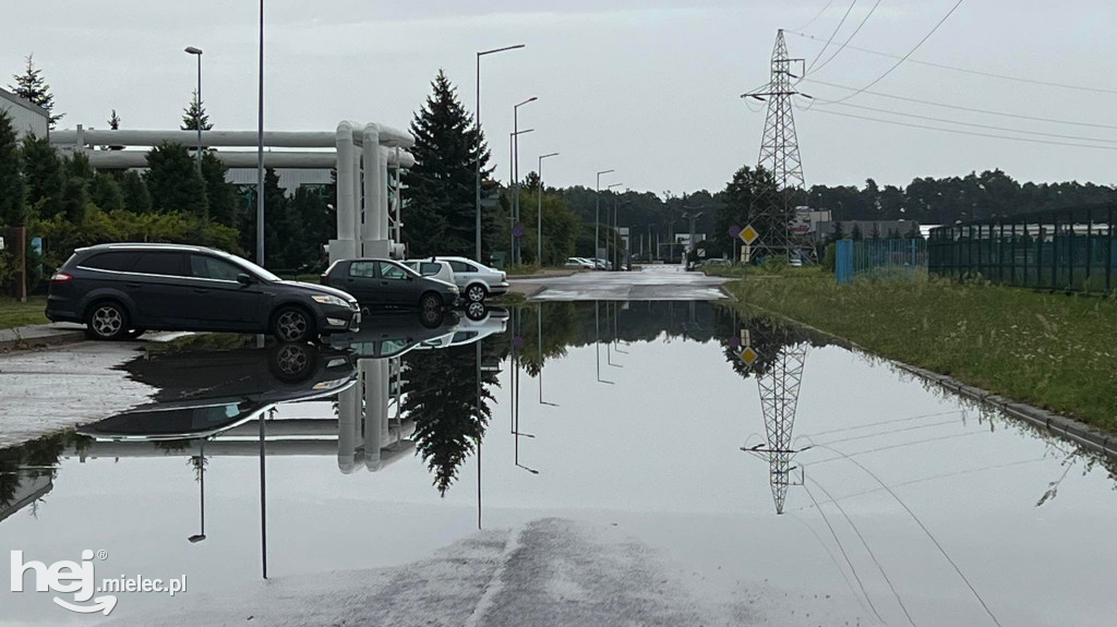 Powalone drzewa i podtopienia na terenie Mielca