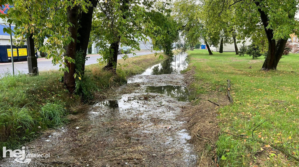 Powalone drzewa i podtopienia na terenie Mielca