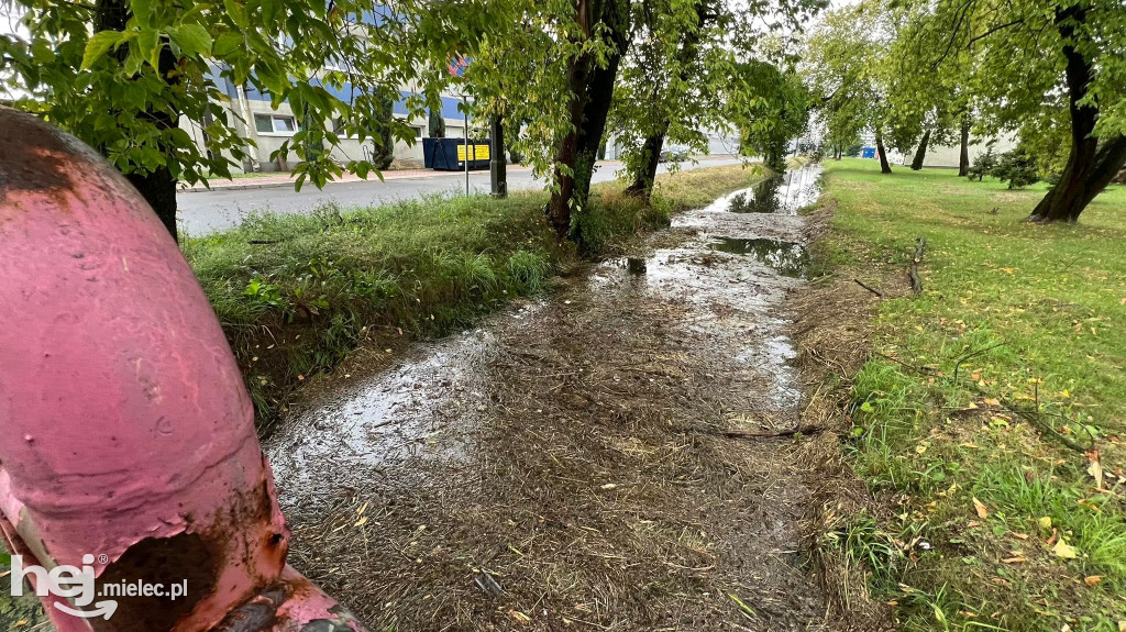 Powalone drzewa i podtopienia na terenie Mielca