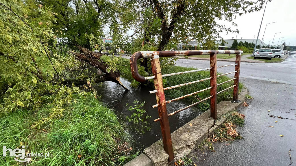 Powalone drzewa i podtopienia na terenie Mielca