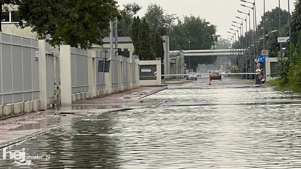 Powalone drzewa i podtopienia na terenie Mielca