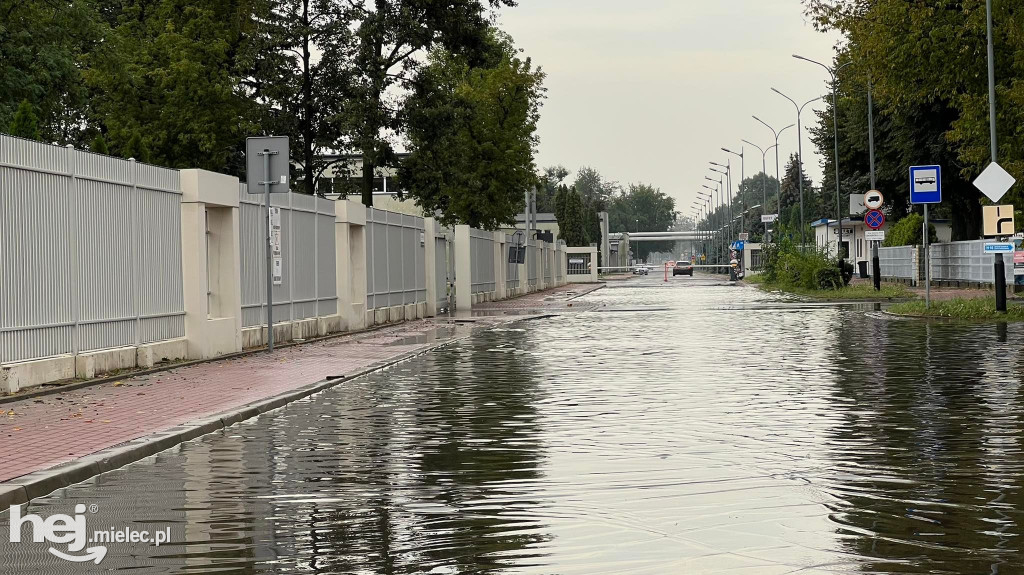 Powalone drzewa i podtopienia na terenie Mielca