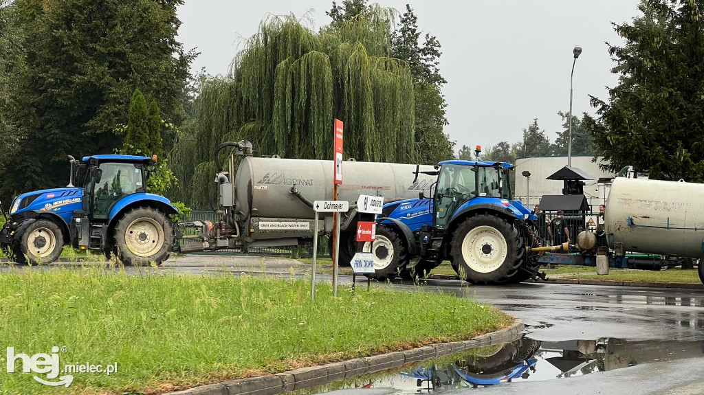 Powalone drzewa i podtopienia na terenie Mielca