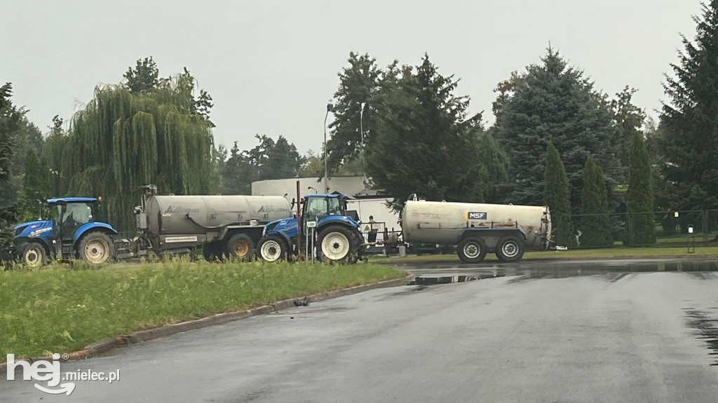 Powalone drzewa i podtopienia na terenie Mielca