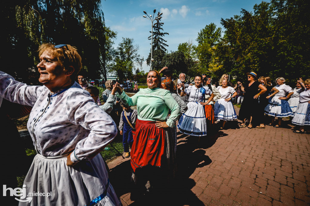 Międzynarodowy koncert w Parku Lachmana