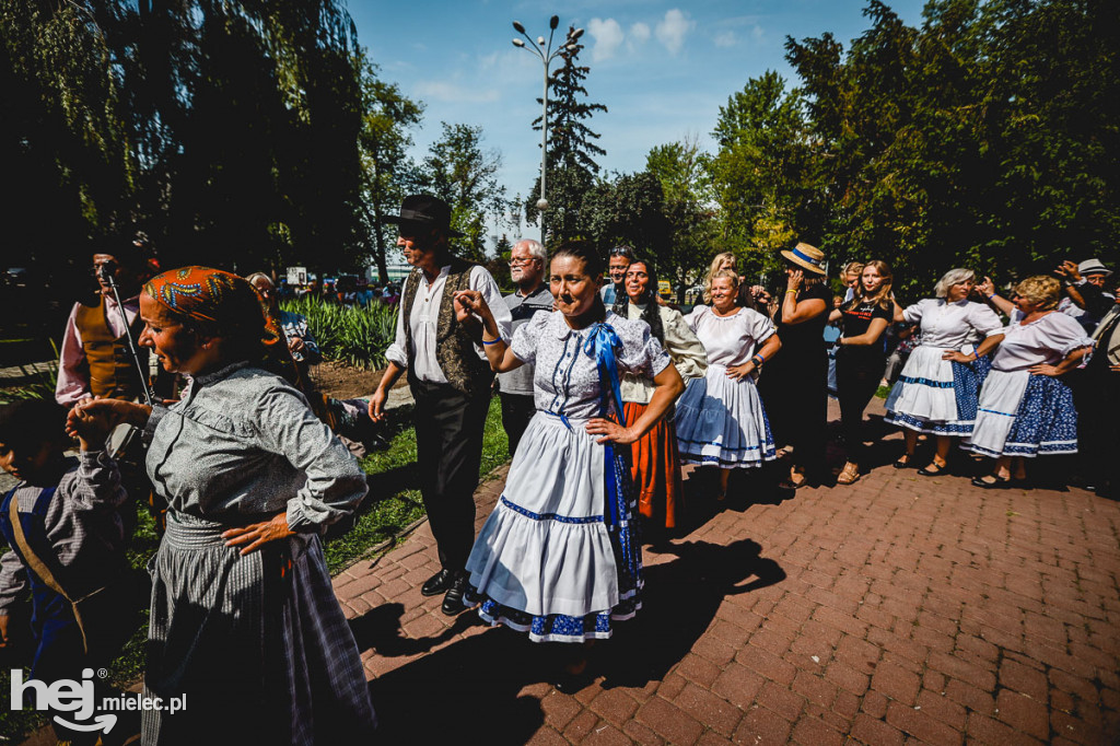 Międzynarodowy koncert w Parku Lachmana