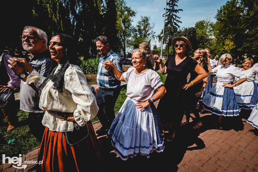 Międzynarodowy koncert w Parku Lachmana