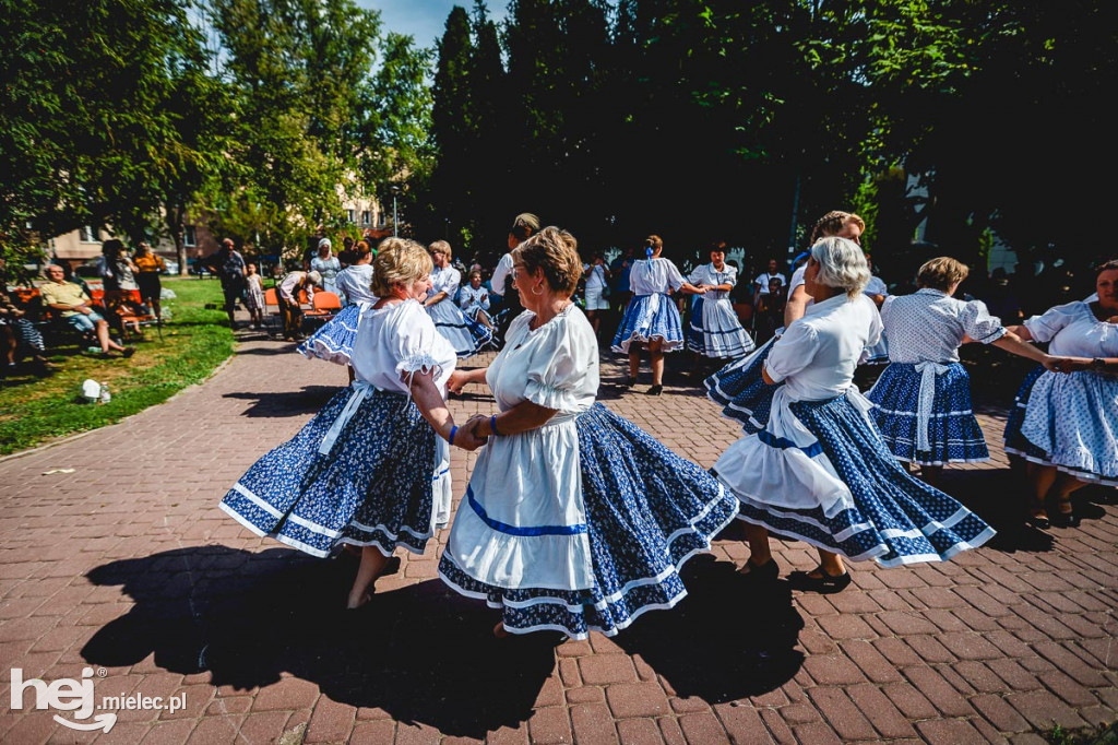 Międzynarodowy koncert w Parku Lachmana