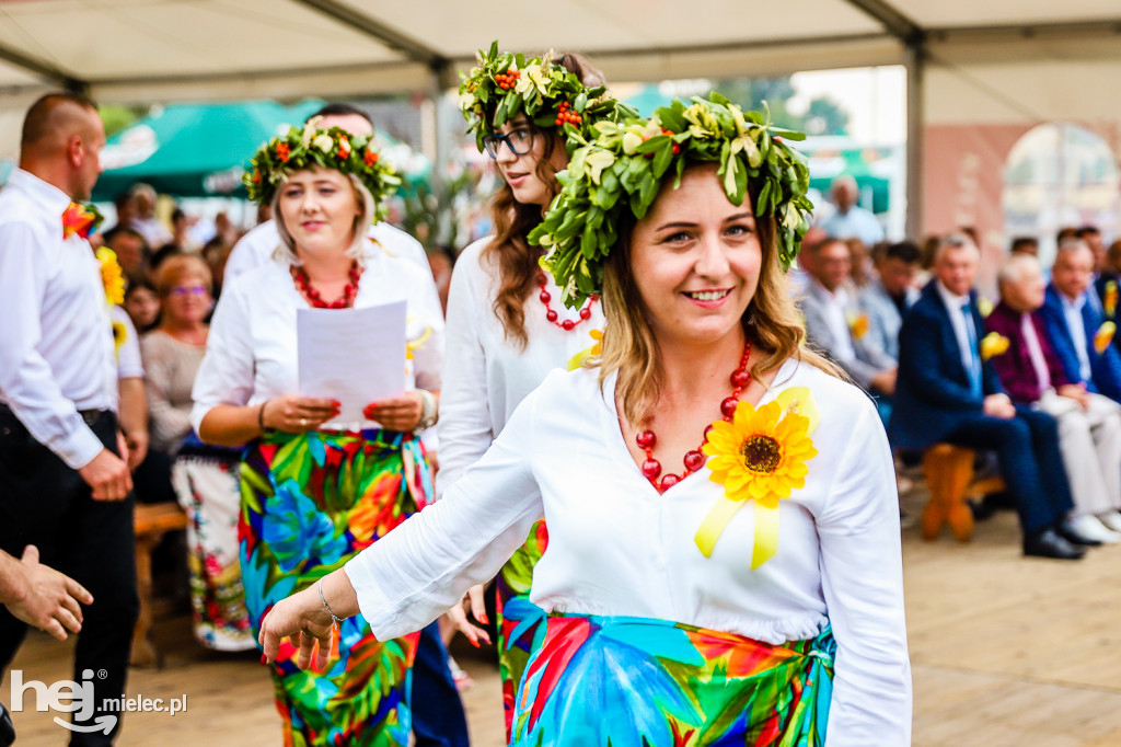 Dożynki gminne w Krzemienicy