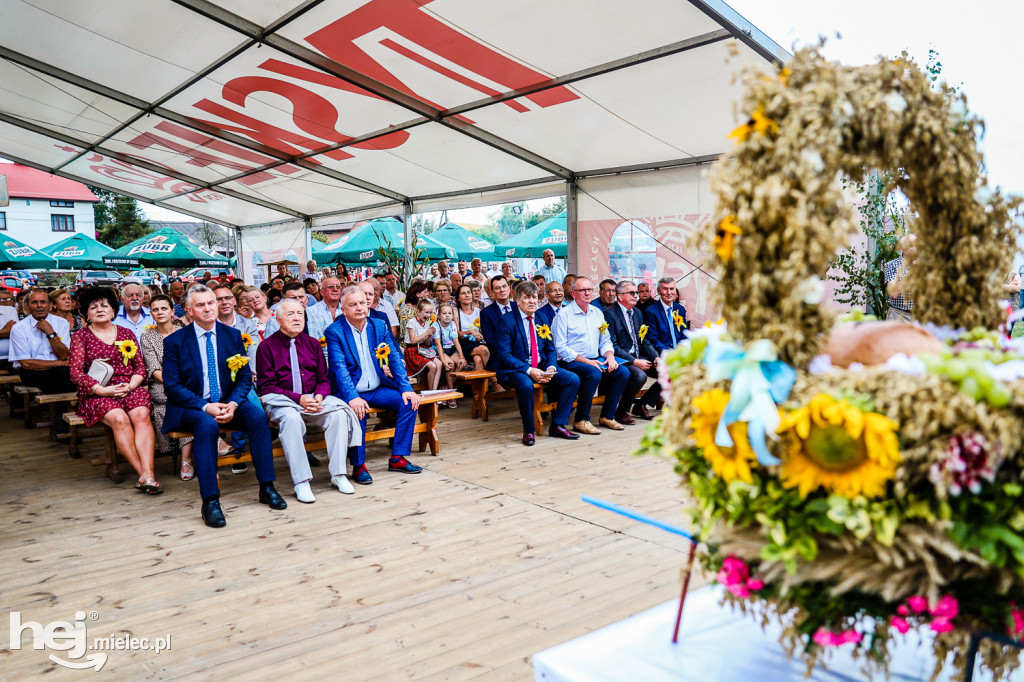 Dożynki gminne w Krzemienicy