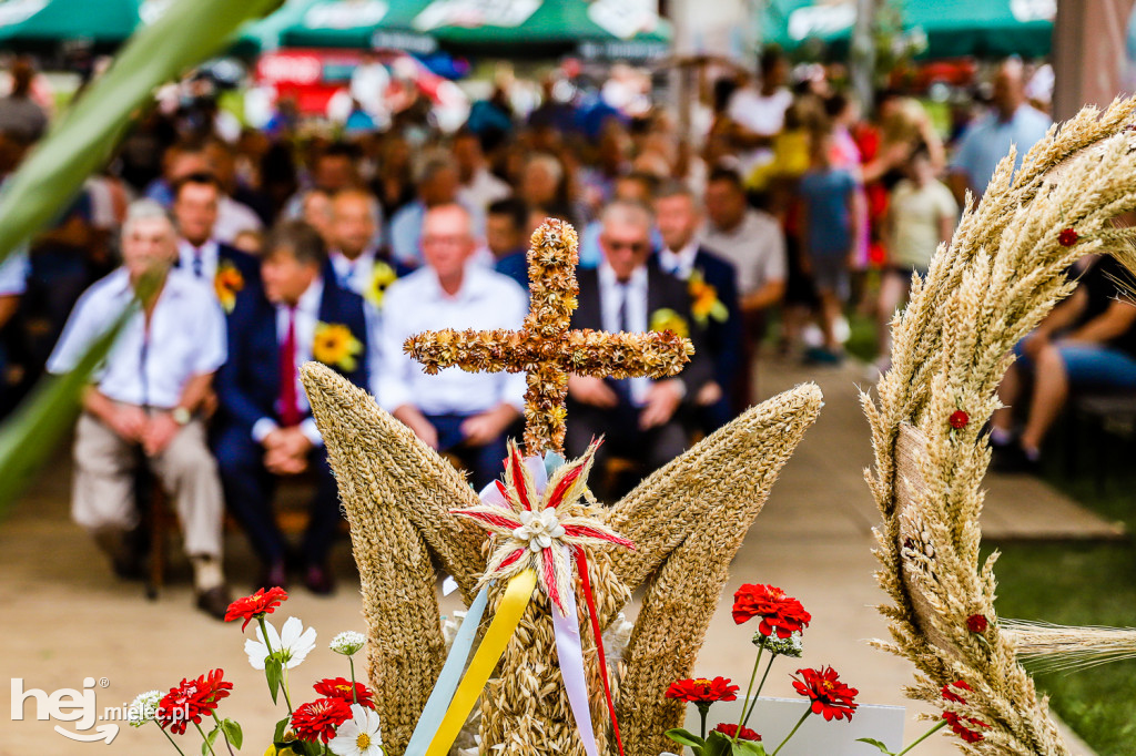 Dożynki gminne w Krzemienicy