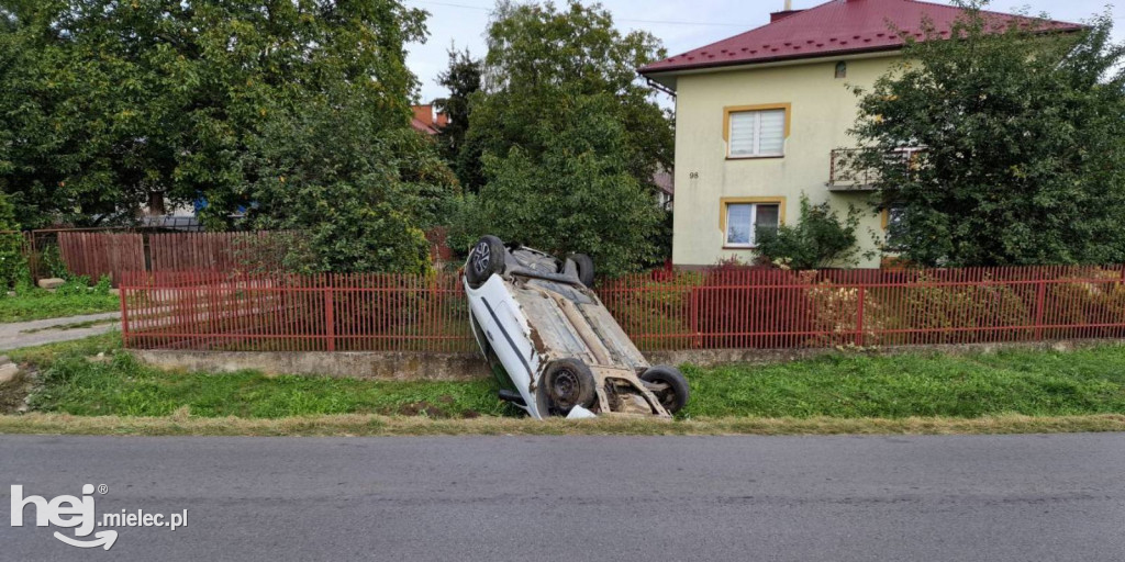 Dachowanie w Złotnikach