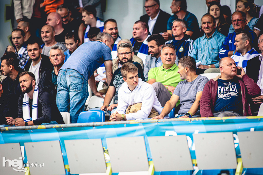 KIBICE na meczu PGE FKS Stal Mielec - Śląsk Wrocław
