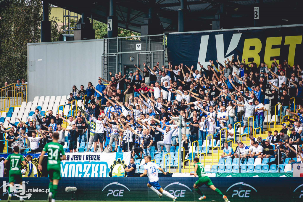 KIBICE na meczu PGE FKS Stal Mielec - Śląsk Wrocław