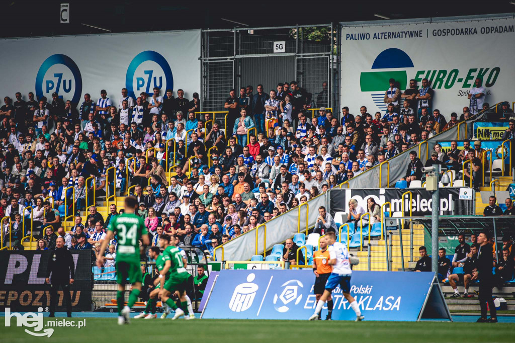 KIBICE na meczu PGE FKS Stal Mielec - Śląsk Wrocław