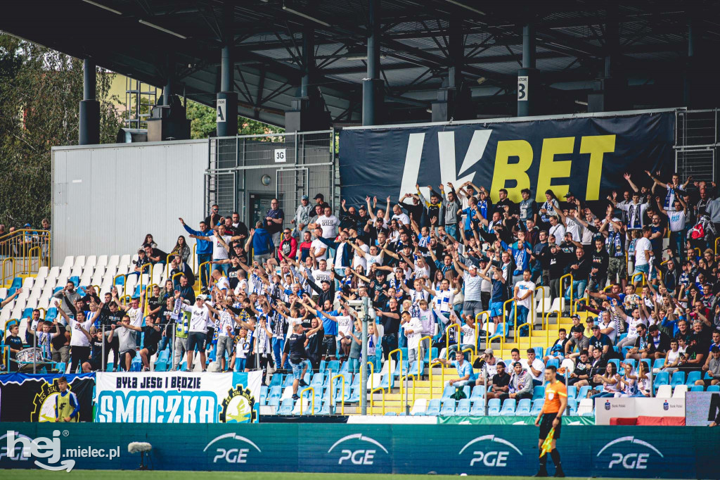 KIBICE na meczu PGE FKS Stal Mielec - Śląsk Wrocław