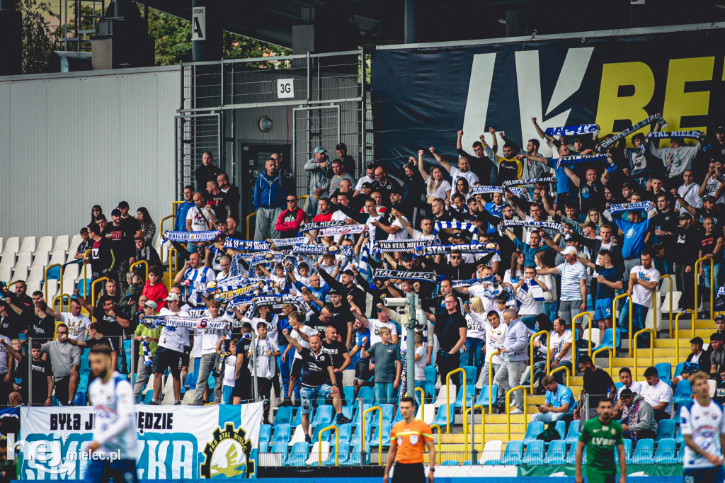 KIBICE na meczu PGE FKS Stal Mielec - Śląsk Wrocław