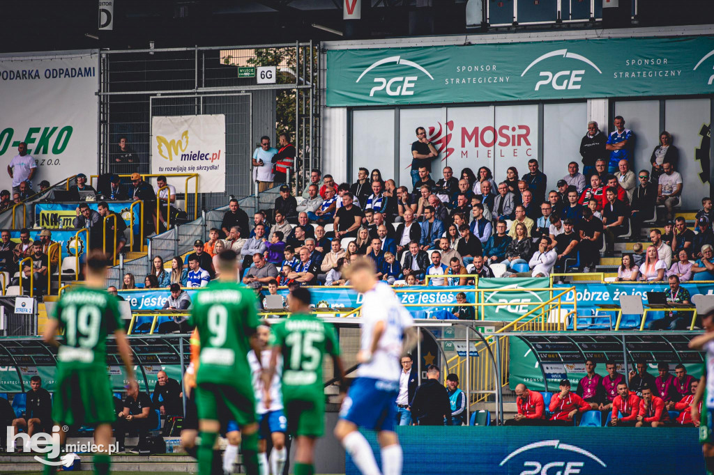 KIBICE na meczu PGE FKS Stal Mielec - Śląsk Wrocław