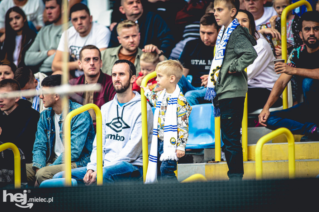 KIBICE na meczu PGE FKS Stal Mielec - Śląsk Wrocław