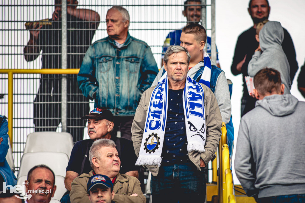 KIBICE na meczu PGE FKS Stal Mielec - Śląsk Wrocław