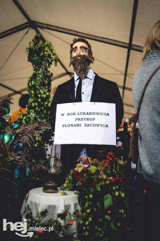 Święto Ziemniaka