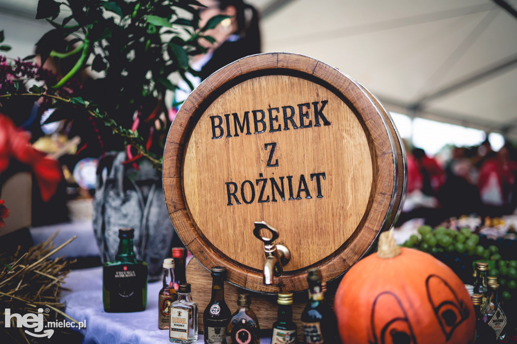 Święto Ziemniaka