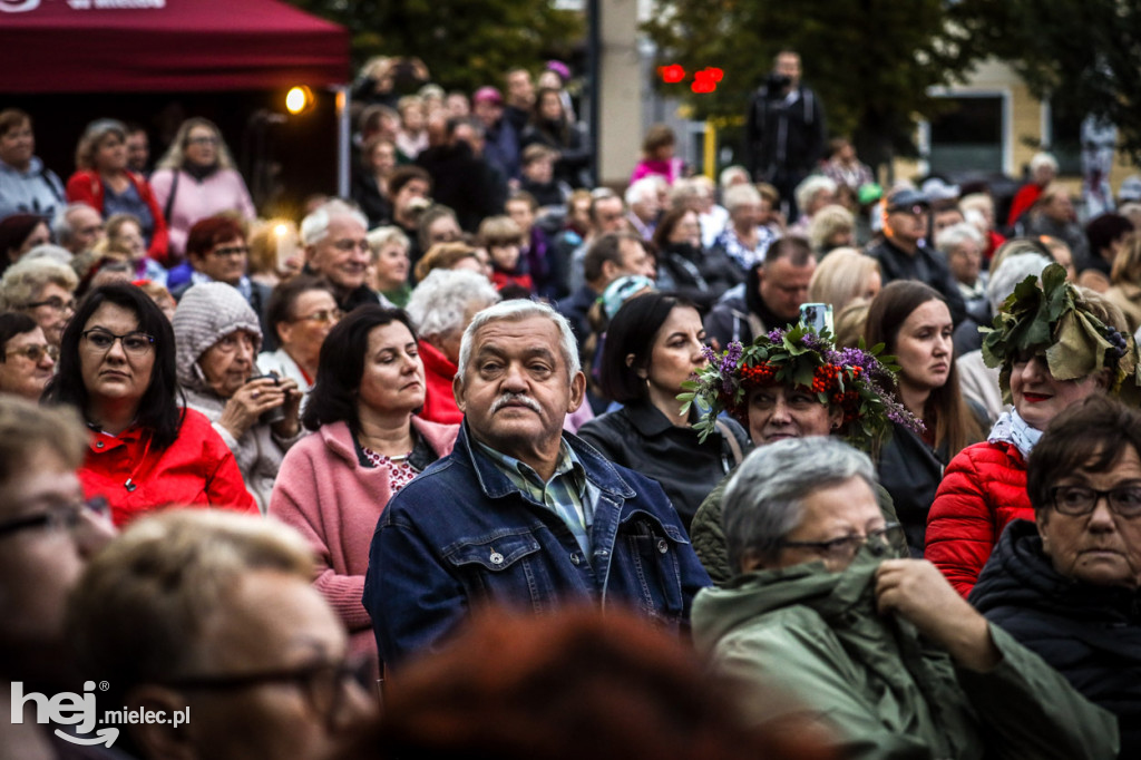 V Mieleckie Dni Seniora