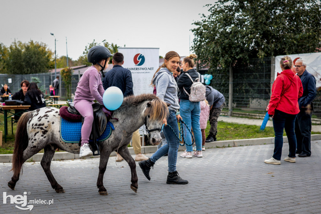 Dzień otwarty w mieleckim schronisku