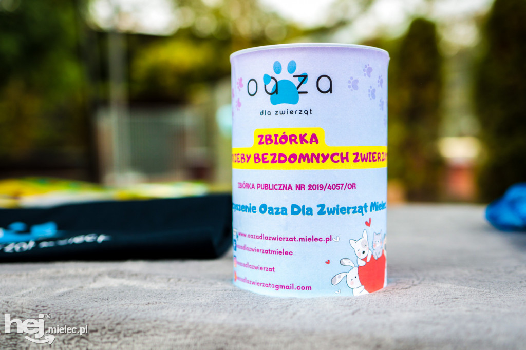Dzień otwarty w mieleckim schronisku