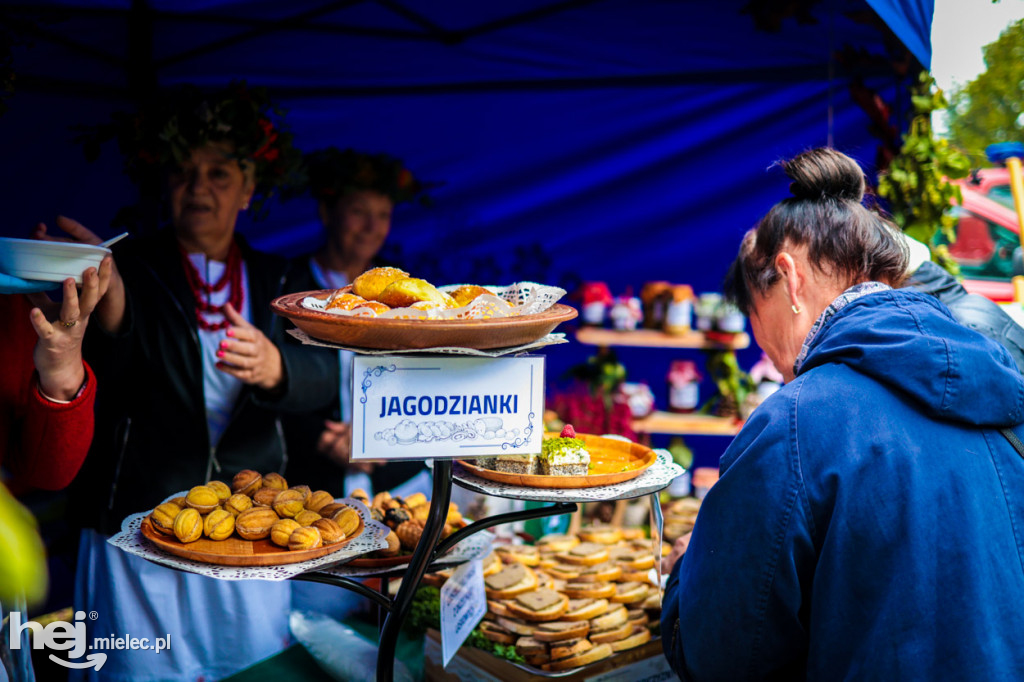 I Jaślański Piknik Rodzinny