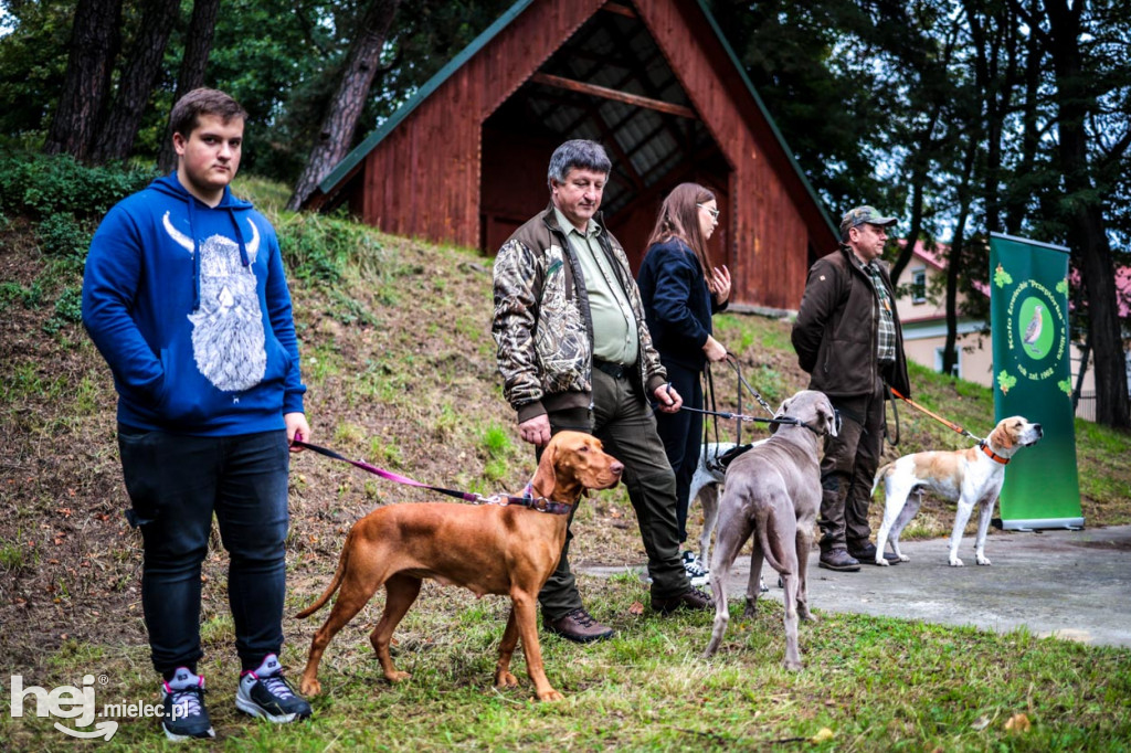I Jaślański Piknik Rodzinny