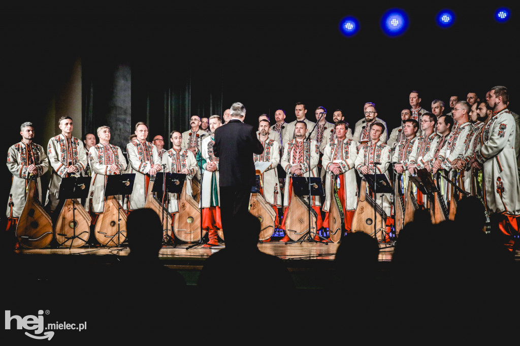 Koncert 